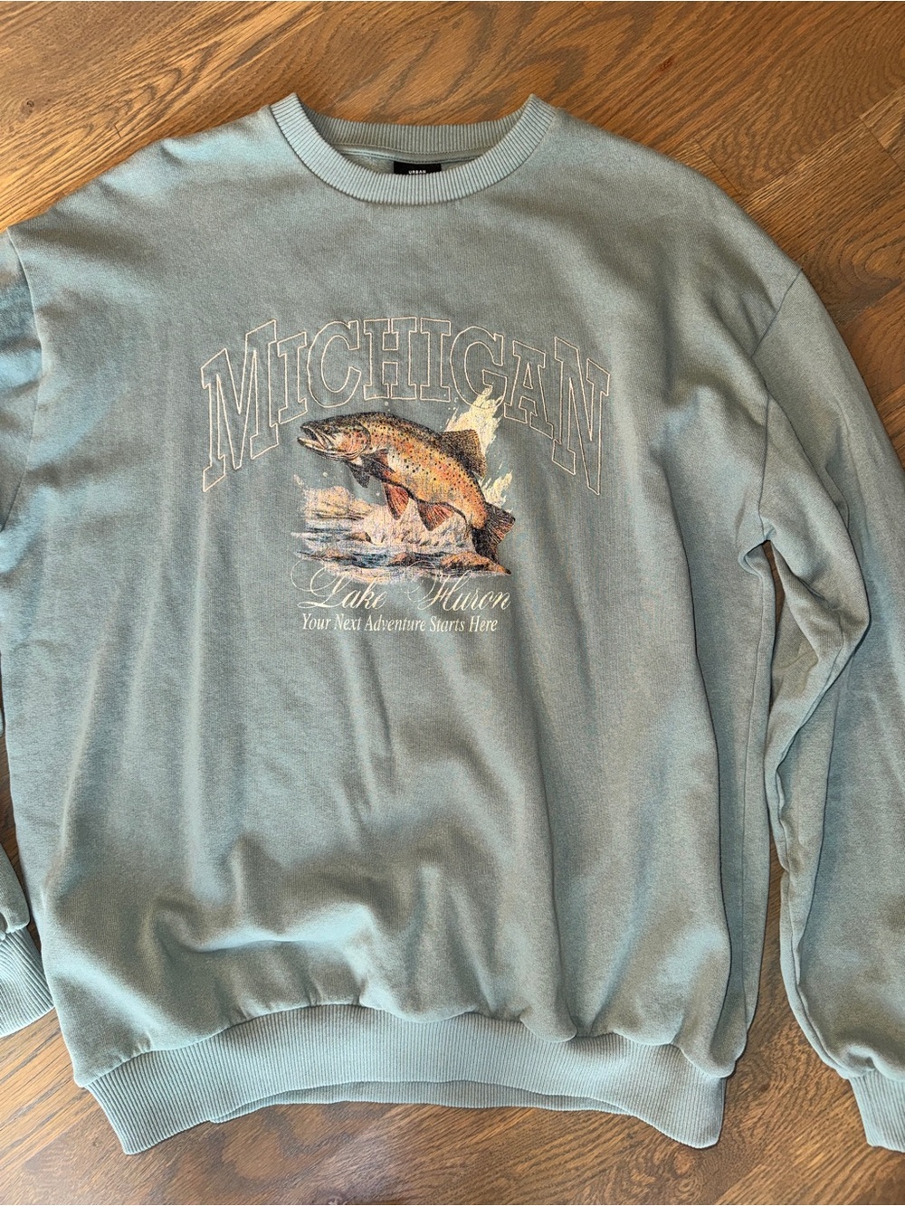 Urban Outfitters Michigan Sweatshirt